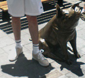 Mark's controversial legs.  And a pig.